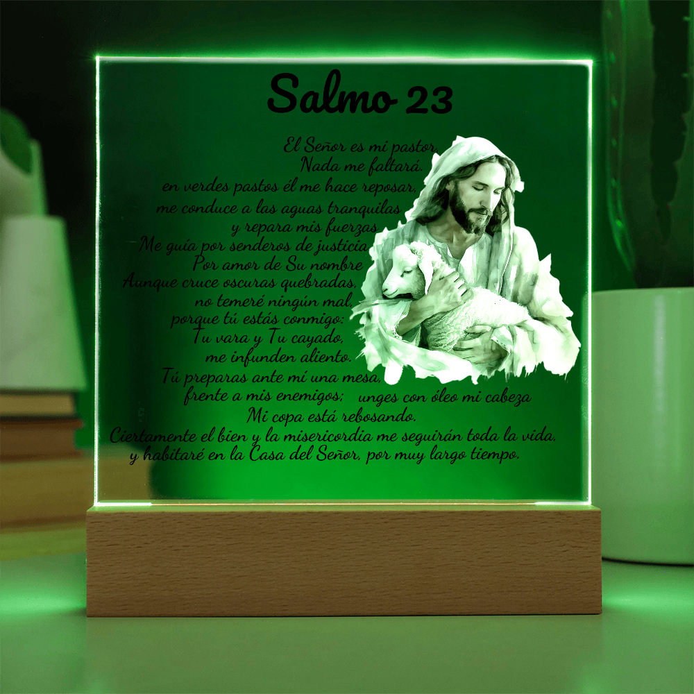 Placa de Acrílico - Salmo 23